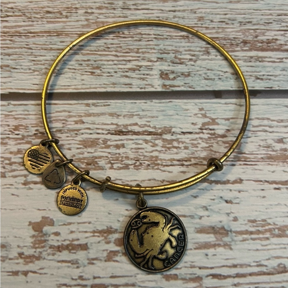 Alex and Ani Cancer Zodiac Crab Bangle Bracelet